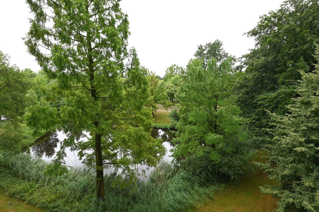 Photo 16 of Veenbesstraat 522