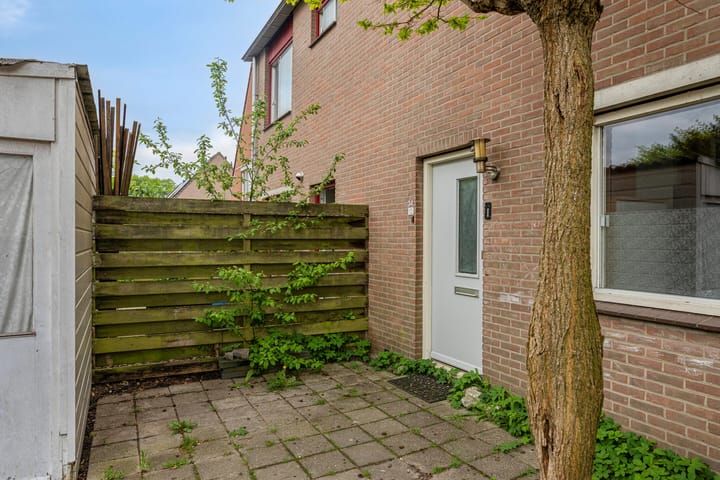 Foto 4 van Schoener 34 12