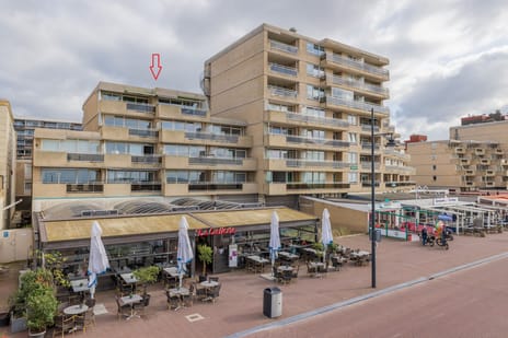 Adelaert 51 secondary image