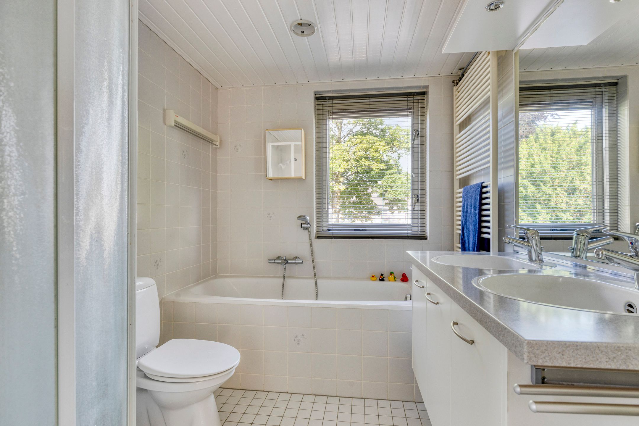 Foto 18 van Beetzlaan 5