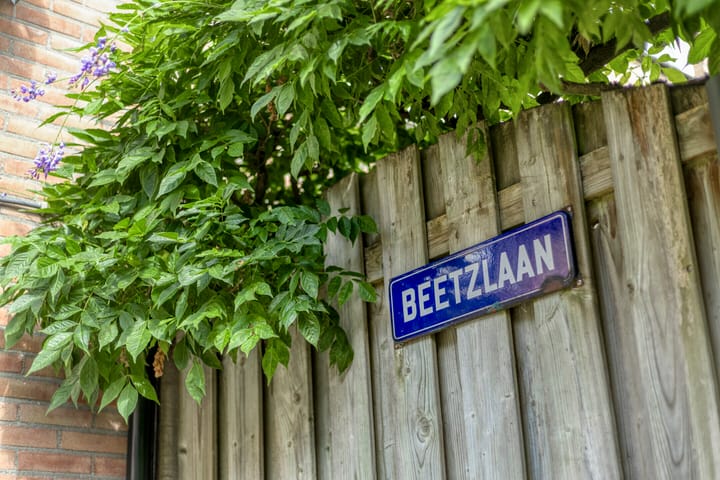Foto 33 van Beetzlaan 5