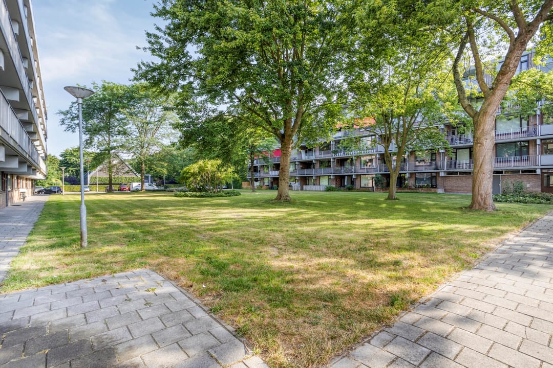 Foto 2 van Witte de Withstraat 35