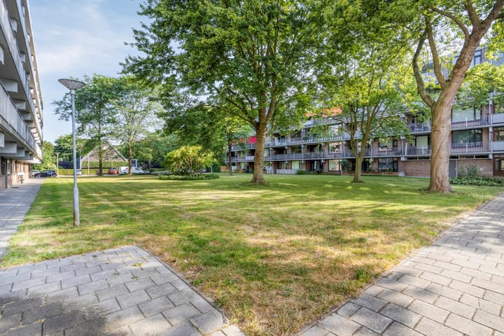 Foto 2 van Witte de Withstraat 35