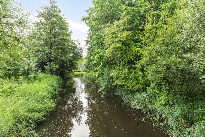 Foto 31 van Boelemaheerd 6