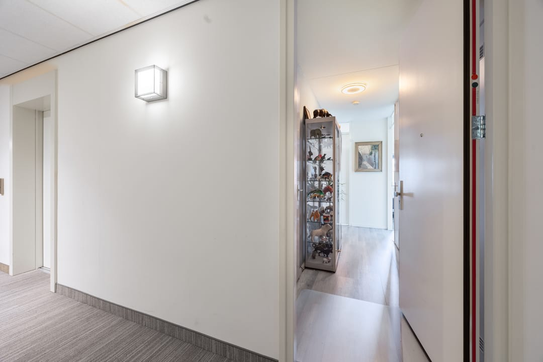 Foto 13 van Westerschelde 19