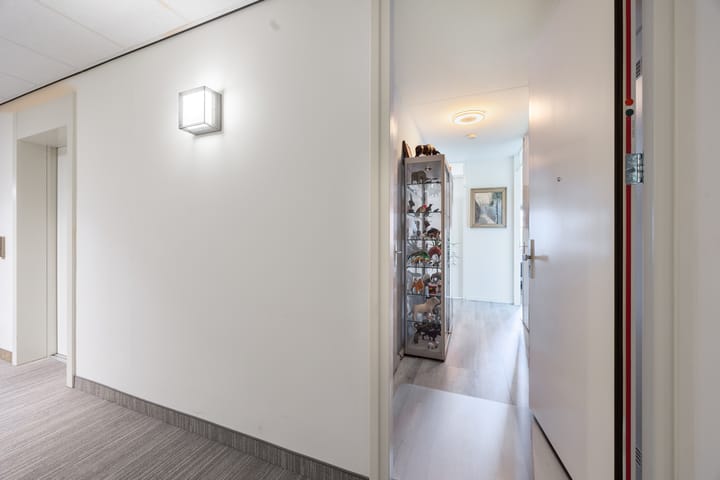 Foto 13 van Westerschelde 19