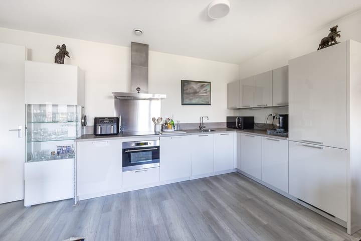 Foto 5 van Westerschelde 19