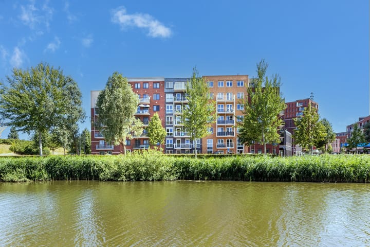 Foto 24 van Westerschelde 19