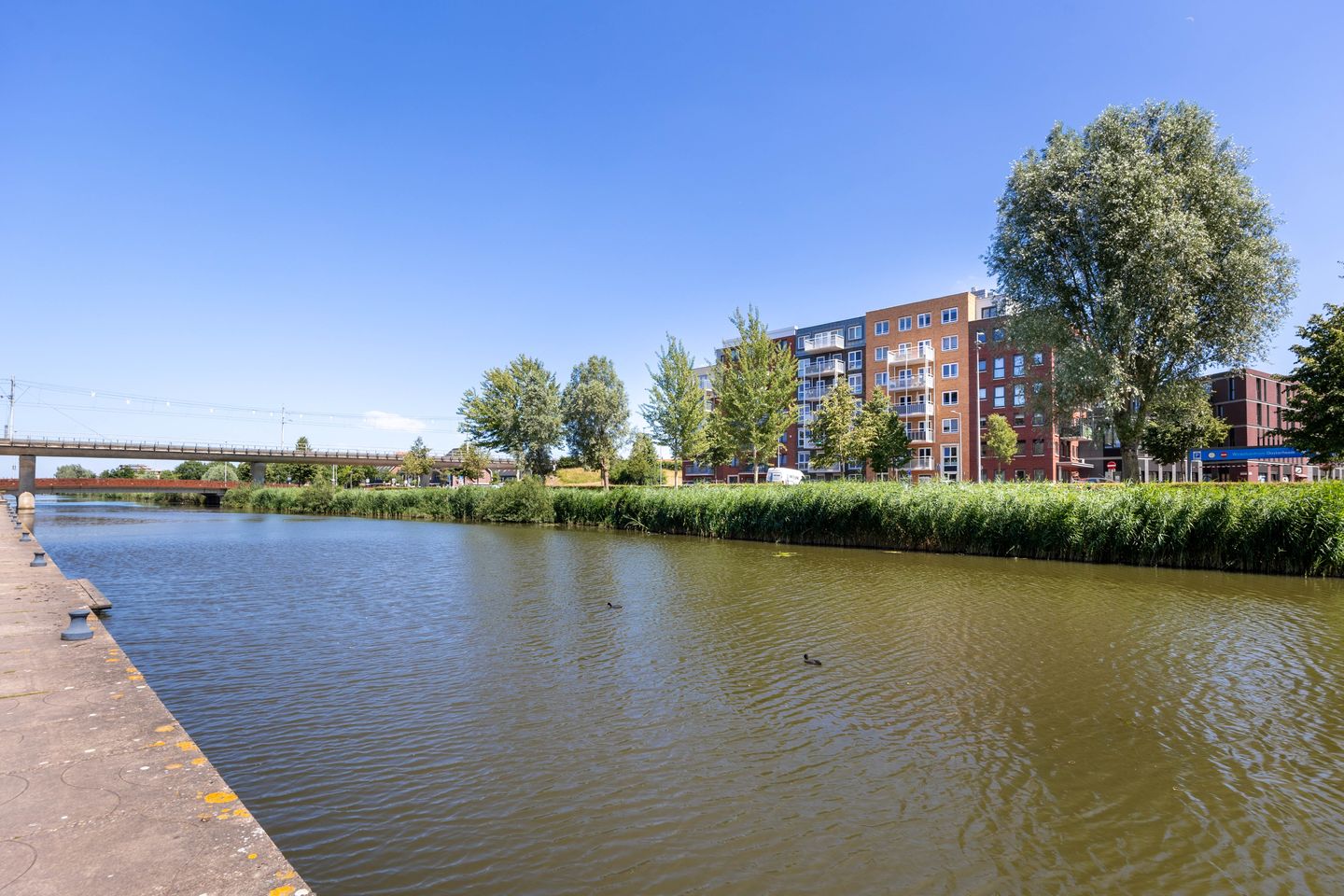 Foto 25 van Westerschelde 19