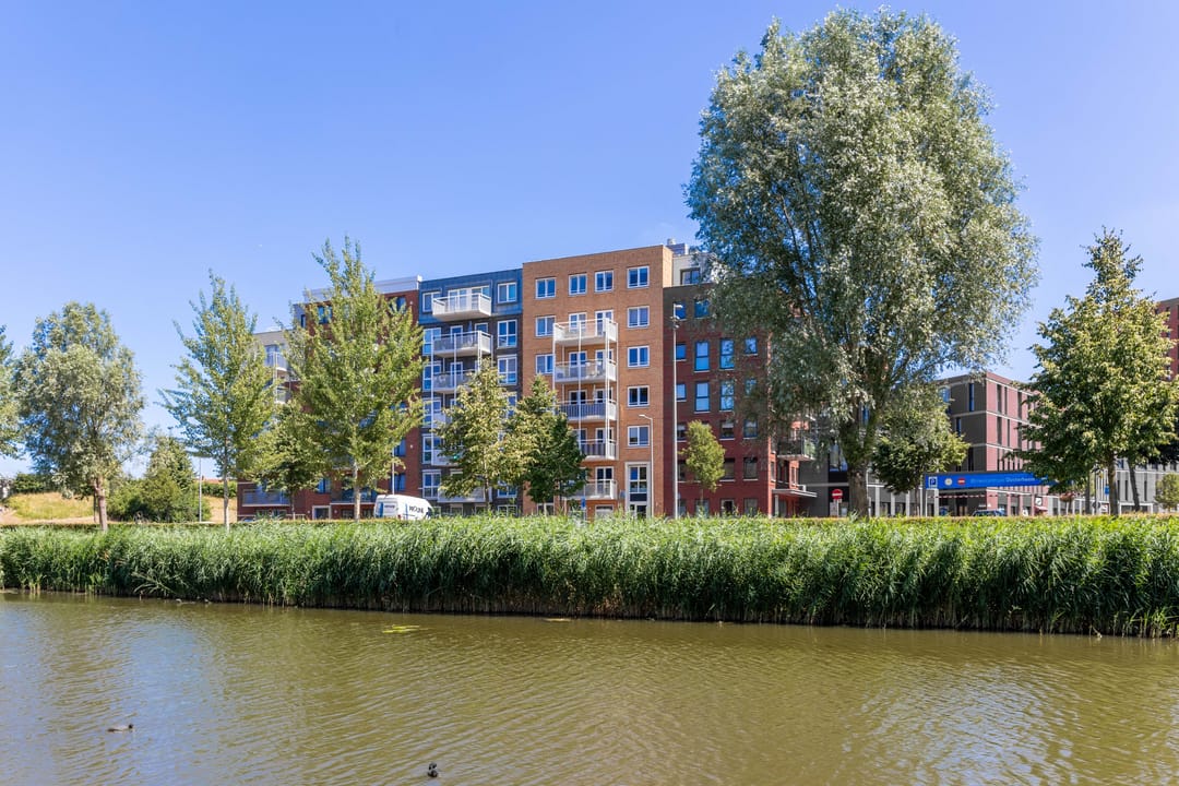 Foto 23 van Westerschelde 19