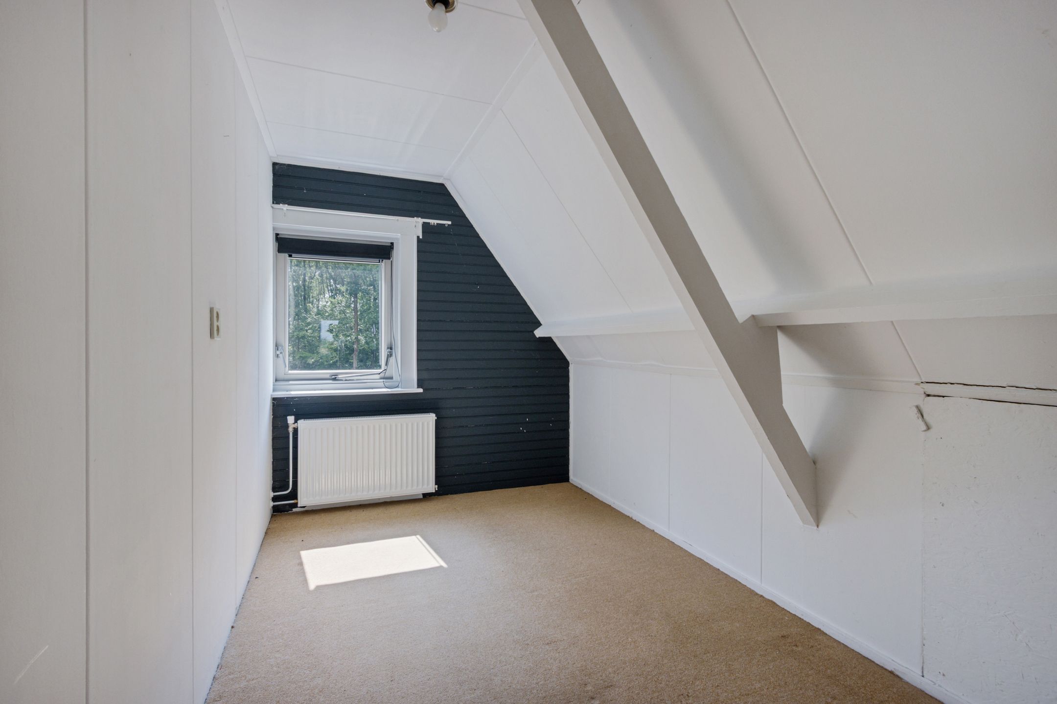 Photo 15 of Wolter Jagerswijk 5