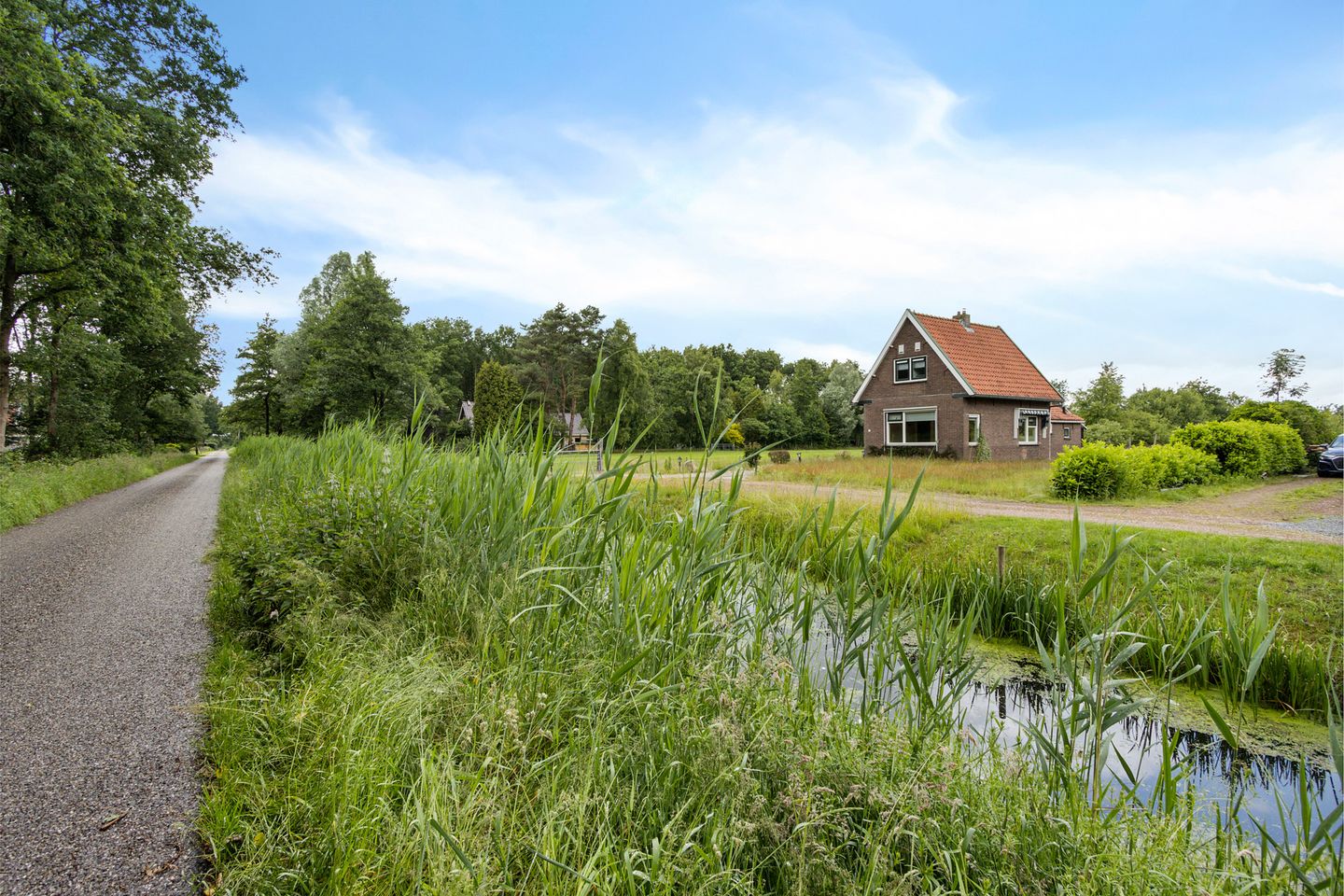 Photo 20 of Wolter Jagerswijk 5