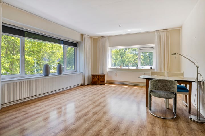 Foto 2 van Spaansgroenstraat 12