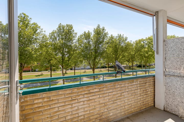 Foto 25 van Spaansgroenstraat 12