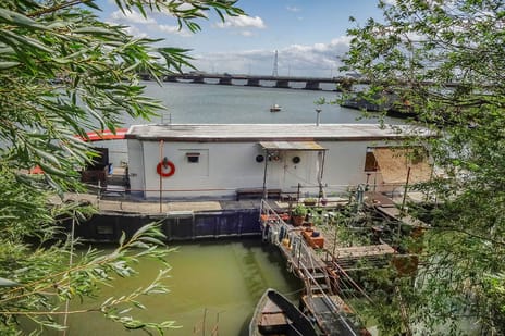 undefined main image