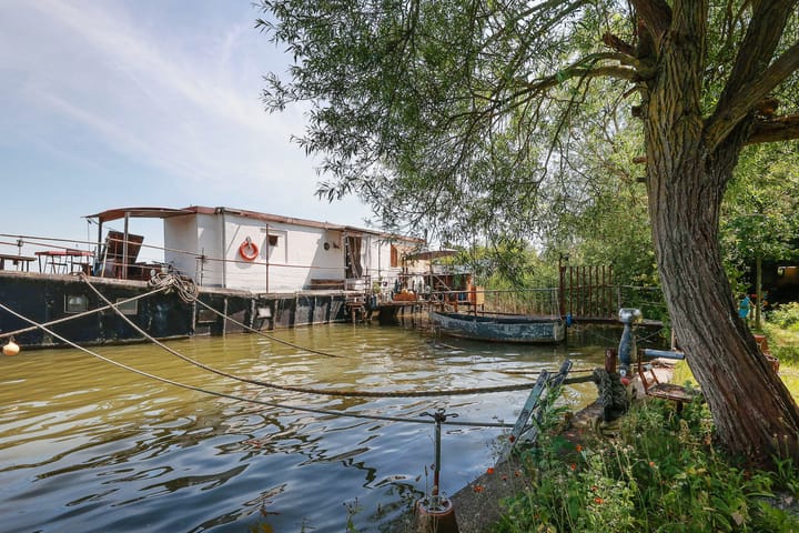 Photo 67 of Zuider IJdijk 127