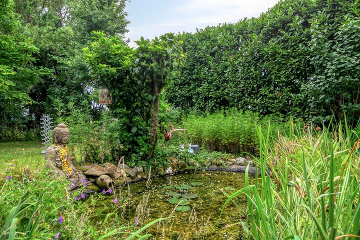 Foto 41 van Oude Heijningsedijk 155