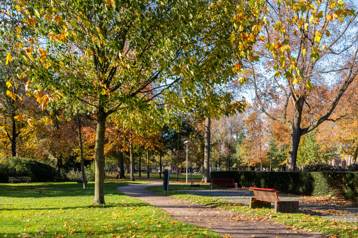 Photo 62 of Weltevredenstraat 5