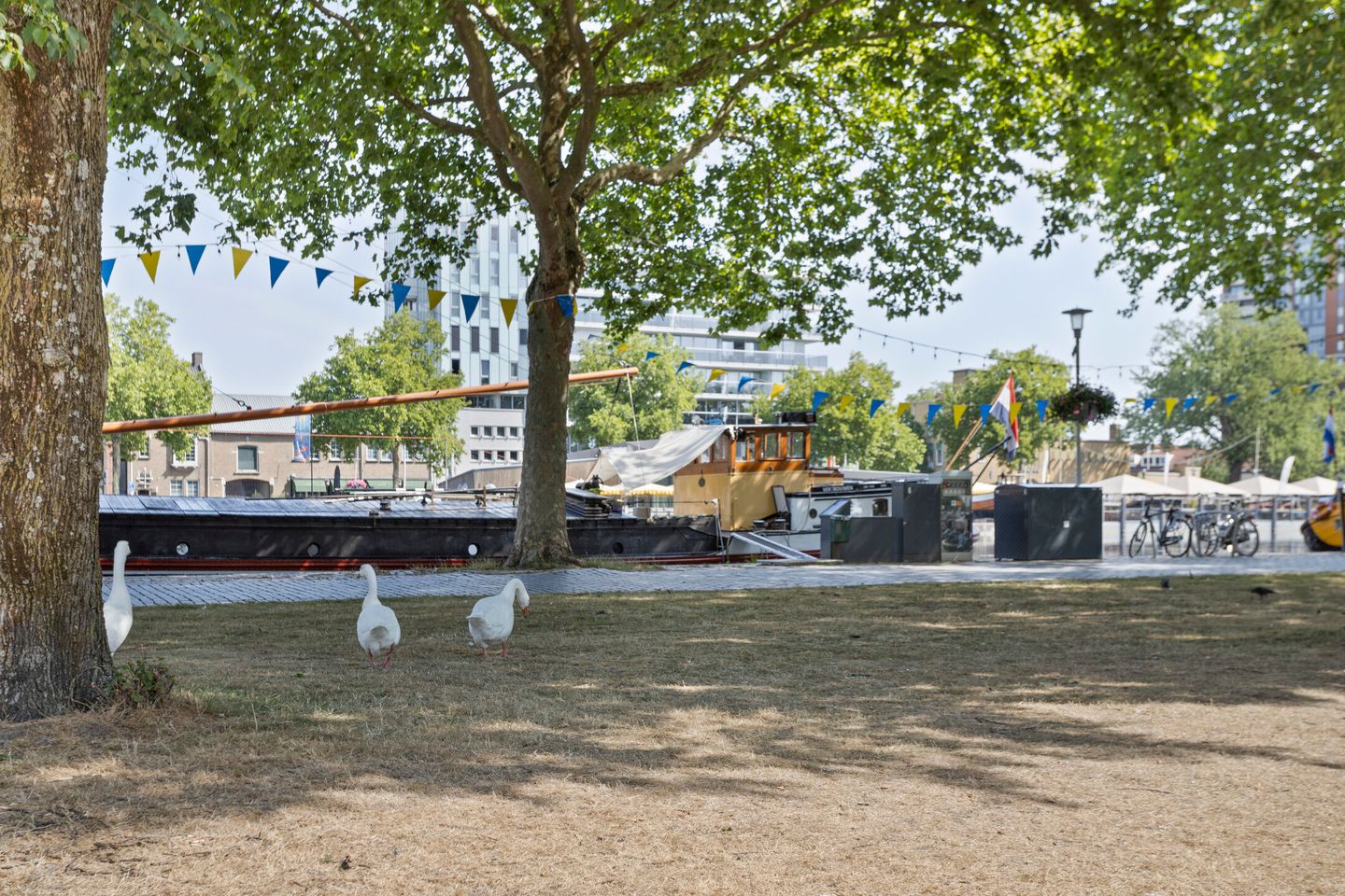 Foto 29 van Anna Paulownahof 215