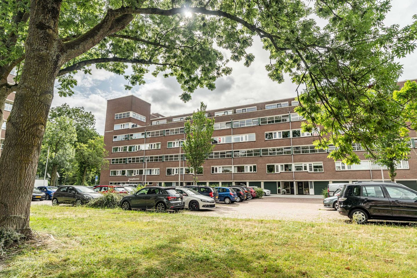 Raaphorst 99 main image