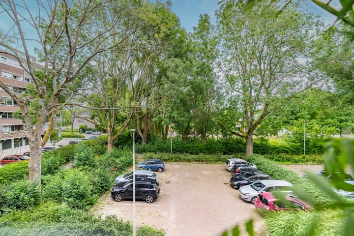 Foto 13 van Raaphorst 99