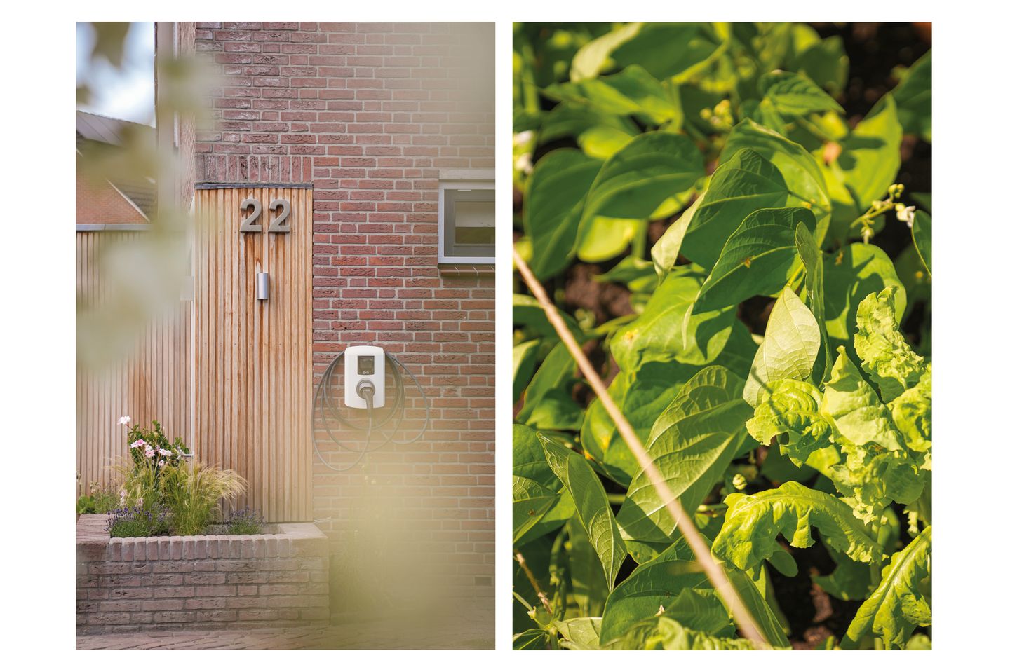 Foto 35 van Tempelierstraat 22