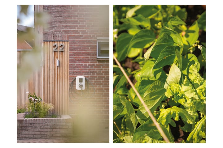 Foto 35 van Tempelierstraat 22