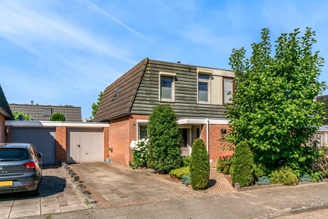 undefined main image