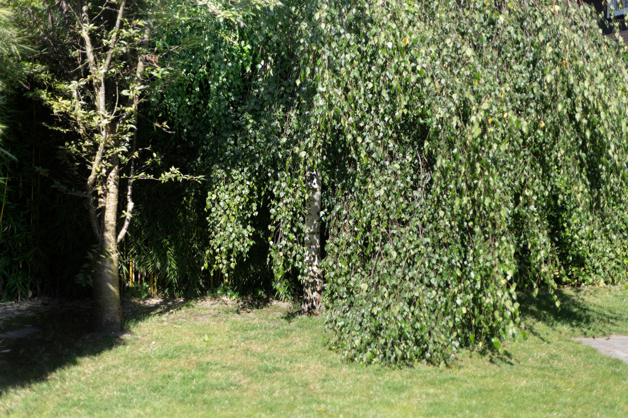 Foto 42 van Schoffel 10