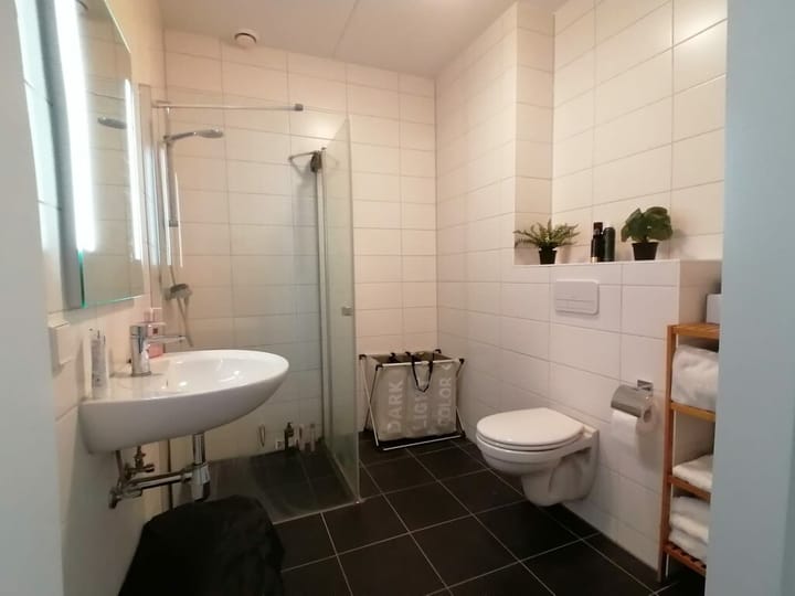 Foto 5 van Harrie van Gestelstraat 5