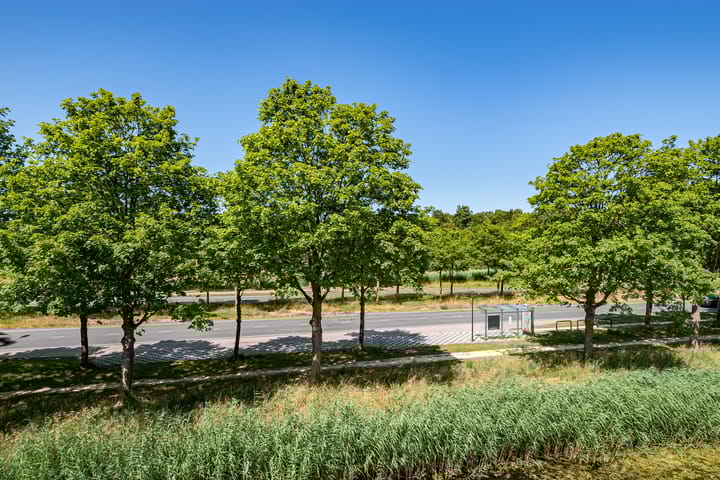 Foto 33 van De Veste 12 78