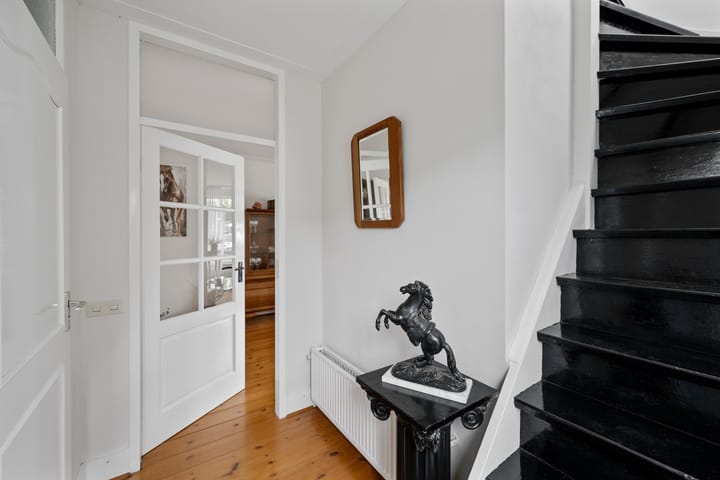 Foto 3 van Theebos 13