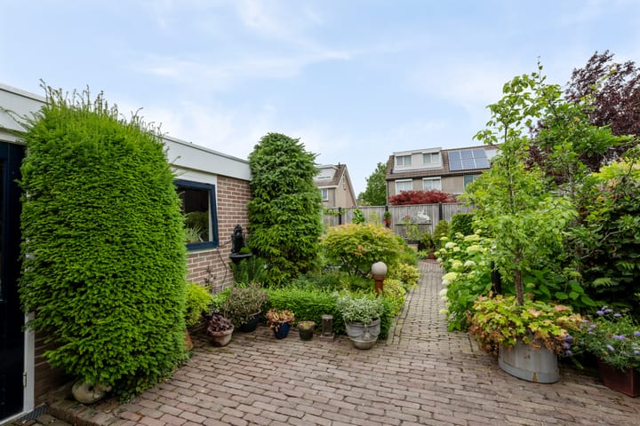 Foto 27 van Theebos 13