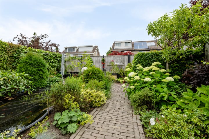 Foto 29 van Theebos 13