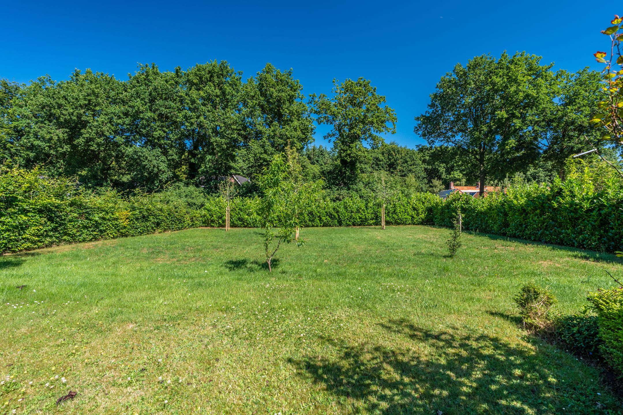 Foto 3 van G. Buwaldaweg 11-C