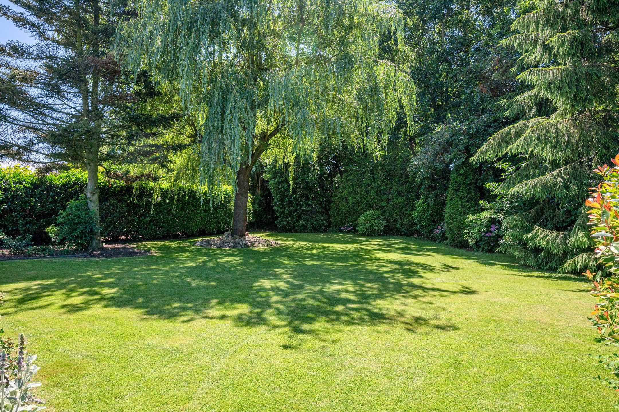 Foto 54 van Ericalaan 32