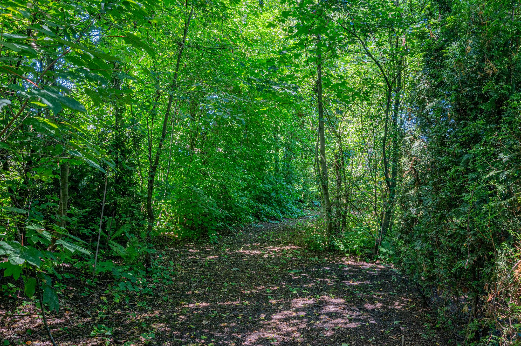 Foto 63 van Ericalaan 32