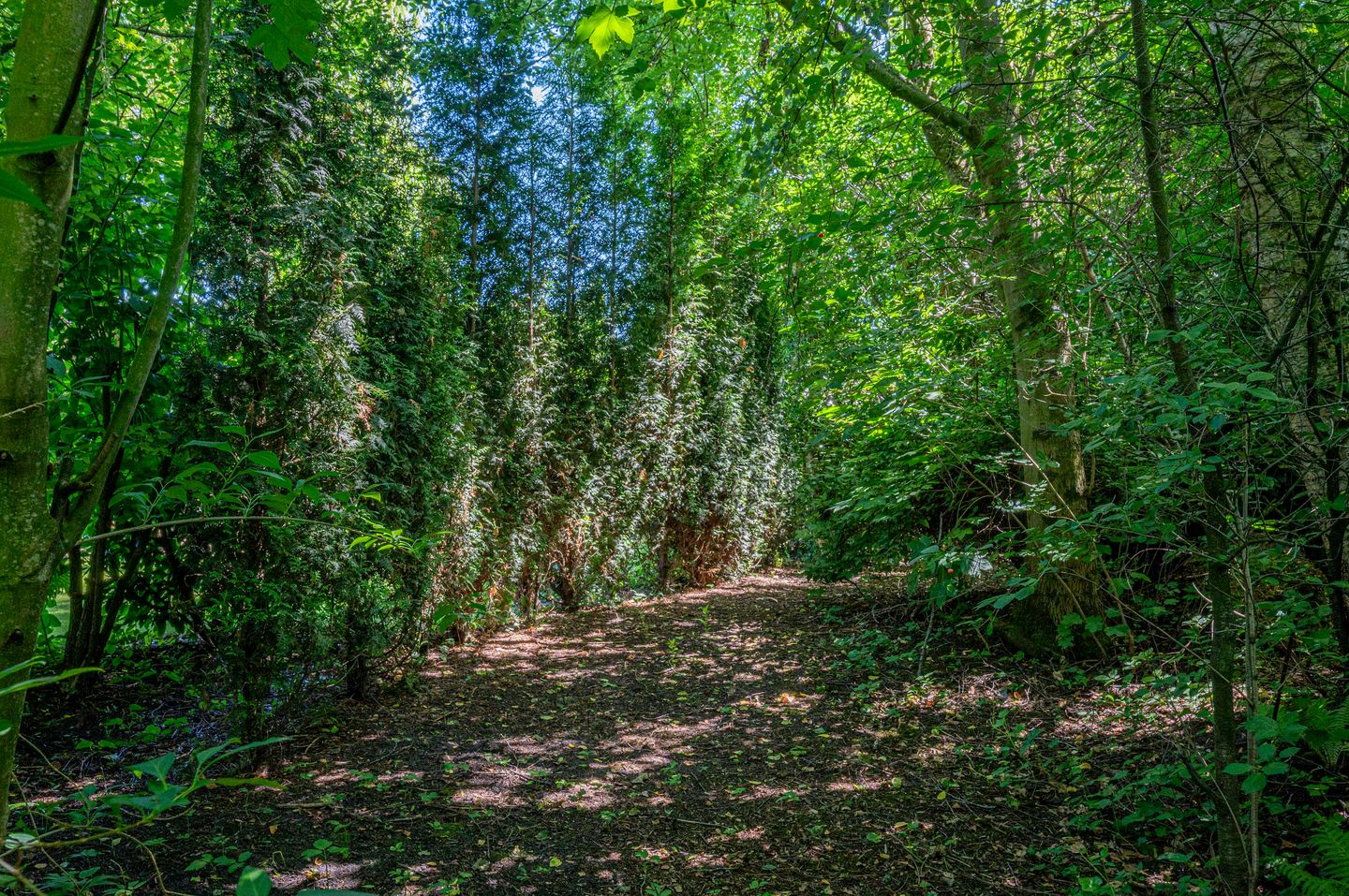 Foto 64 van Ericalaan 32