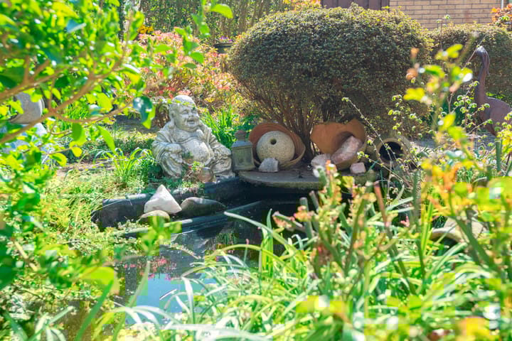 Foto 29 van Sluijsweijdt 8