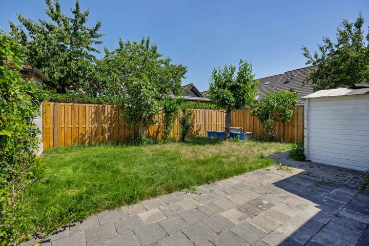 Foto 3 van Oeverzwaluw 1