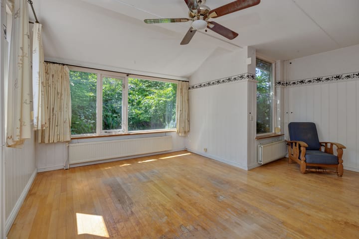 Foto 4 van Oeverzwaluw 1