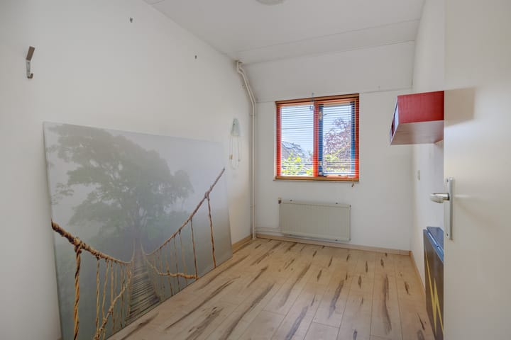 Foto 10 van Oeverzwaluw 1