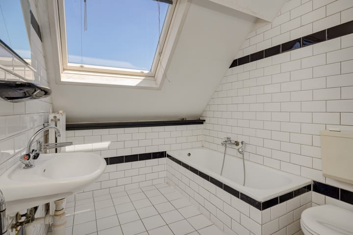 Foto 12 van Oeverzwaluw 1