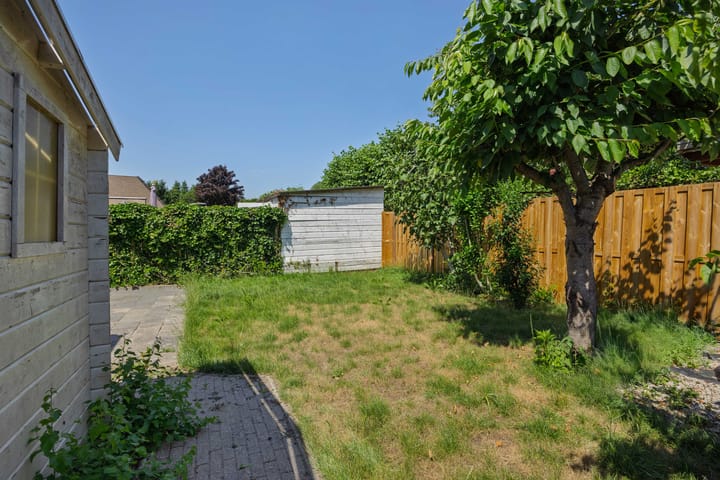 Foto 14 van Oeverzwaluw 1