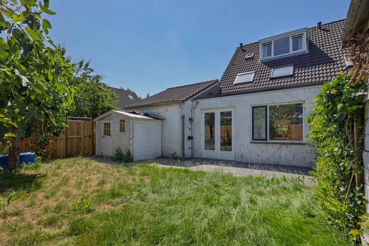 Foto 15 van Oeverzwaluw 1