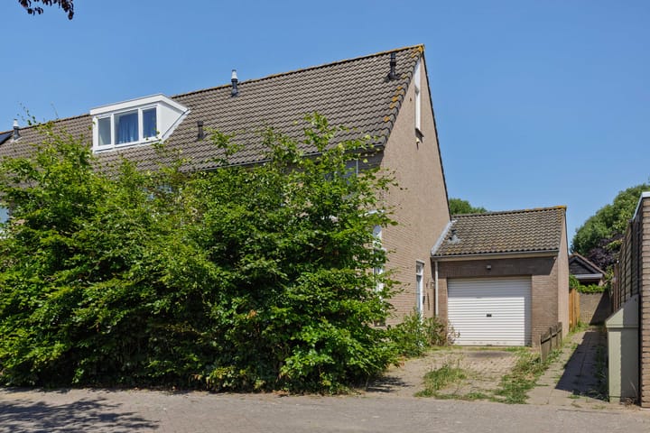 Foto 16 van Oeverzwaluw 1