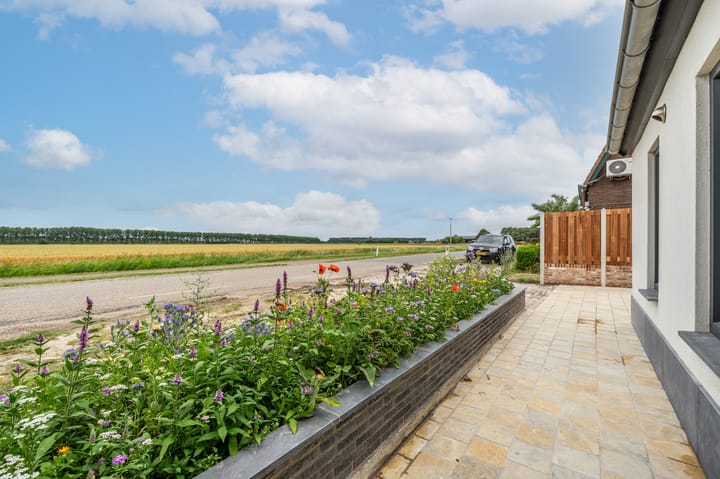 Foto 5 van Sasputsestraat 28