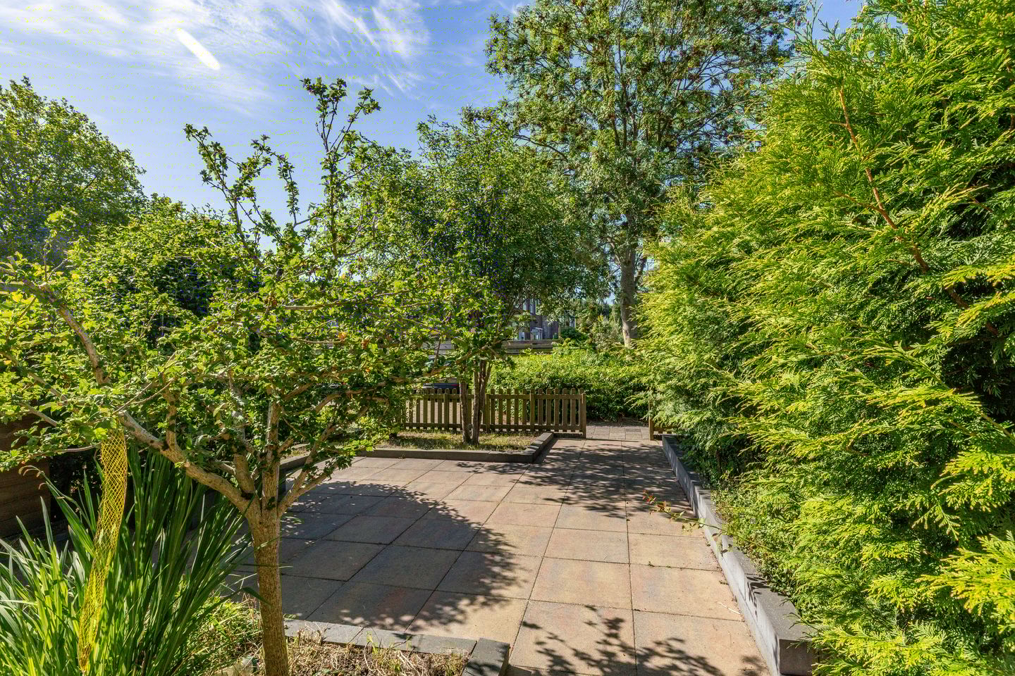 Foto 4 van Schorpioen 104