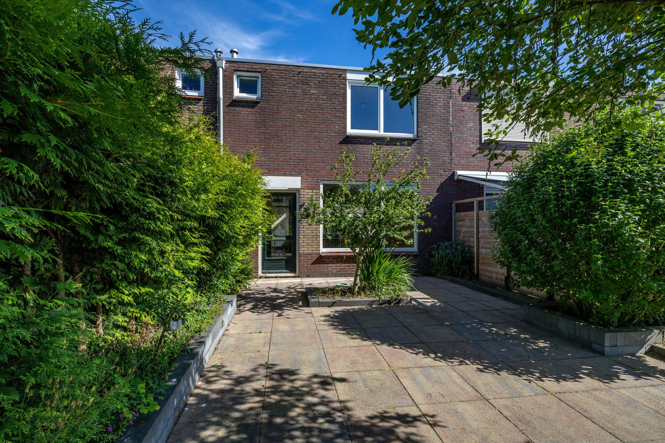 Foto 3 van Schorpioen 104