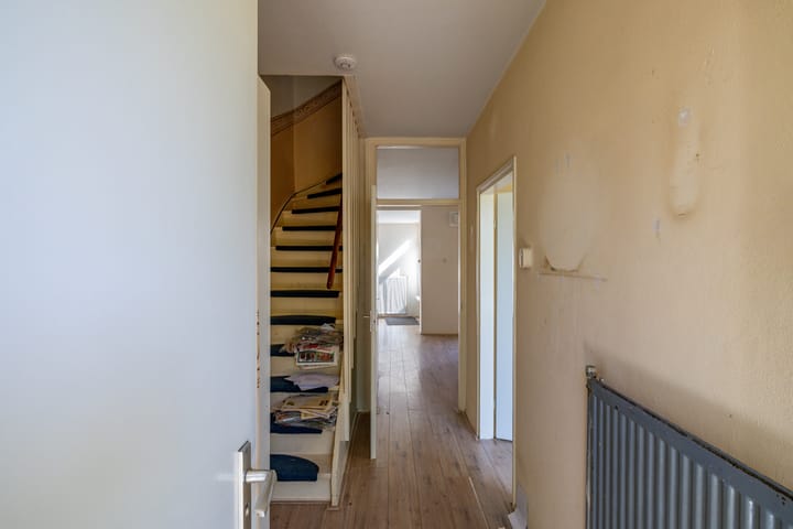 Foto 5 van Schorpioen 104